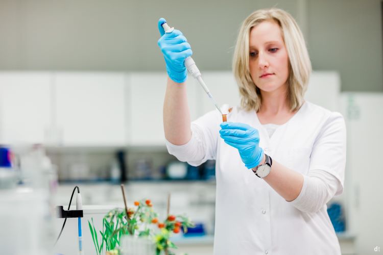 Eine Frau im weißen Labormantel und blauen Handschuhen führt eine Pipette in ein Reagenzglas. Sie arbeitet in einem Labor mit verschiedenen Geräten und Materialien im Hintergrund.