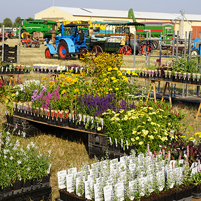 A vibrant garden center with various flowering plants in pots arranged on tables. In the background, there are tractors and farm equipment, indicating a rural setting. The scene is lively with a variety of colors from the blooming flowers.
