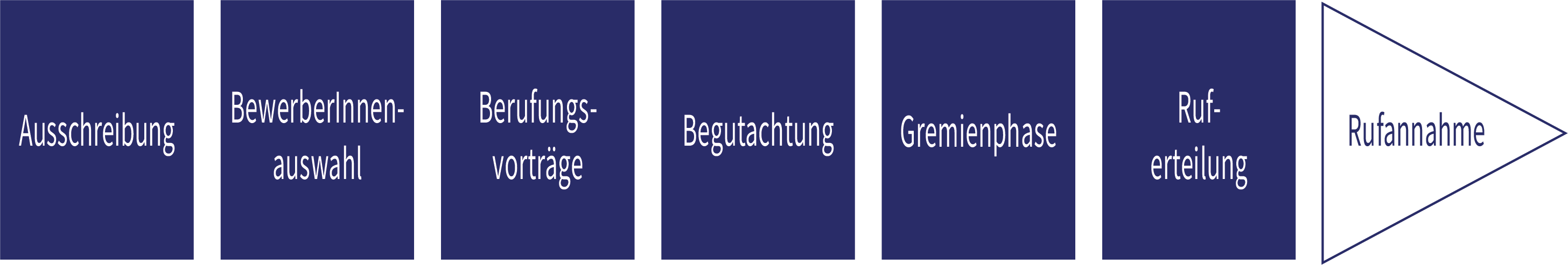 Eine schematische Darstellung des Bewerbungsprozesses mit den Schritten: Ausschreibung, Bewerberinnenauswahl, Berufungsvorträge, Begutachtung, Gremienphase, Ruf-Erteilung und Rufannahme.