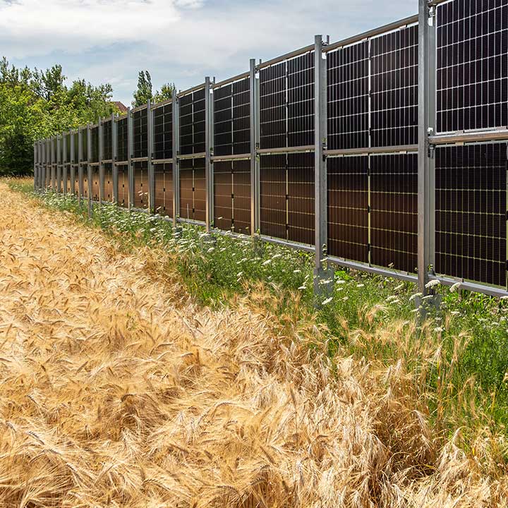 Großes Solarpanel-Feld aus schwarzen Photovoltaikmodulen, das auf einem Metallgestell montiert ist und sich über ein Feld mit reifem, goldgelbem Getreide erstreckt.