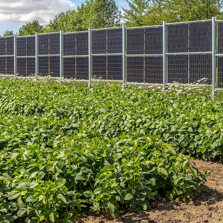 Großes Gemüsebeet mit üppigen grünen Pflanzen, dahinter eine Reihe von Solarpanelen auf einem Zaun montiert, die Energie erzeugen.