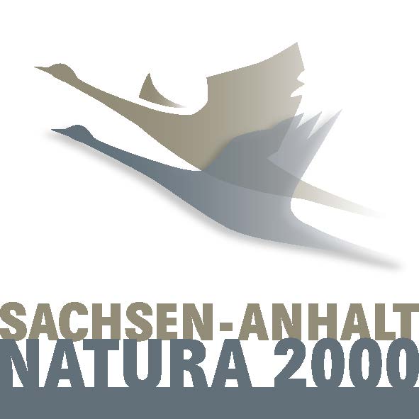 Logo mit zwei fliegenden Gänsen im Silhouettenstil, kombiniert mit dem Schriftzug Sachsen-Anhalt Natura 2000, das ein europäisches Schutzgebiet-Netzwerk für Natur und Landschaft symbolisiert.