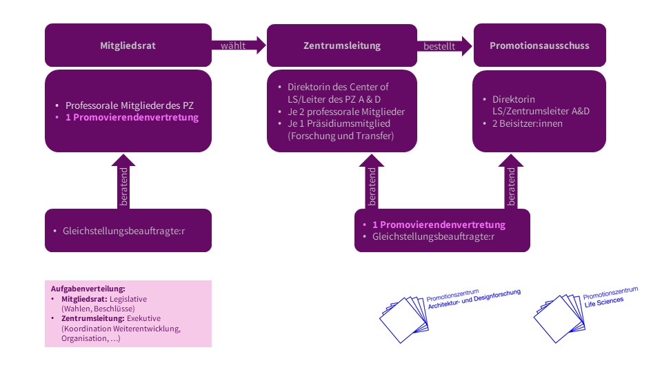 Organigramm mit drei Hauptbereichen: Mitgliedsrat, Zentrumsleitung und Promotionsausschuss. Der Mitgliedsrat besteht aus Professoren und einer Promovierendenvertretung. Die Zentrumsleitung umfasst die Direktorin, zwei Professoren und ein Präsidiumsmitglied. Der Promotionsausschuss setzt sich aus der Direktorin, zwei Beisitzenden und einer Promovierendenvertretung zusammen.