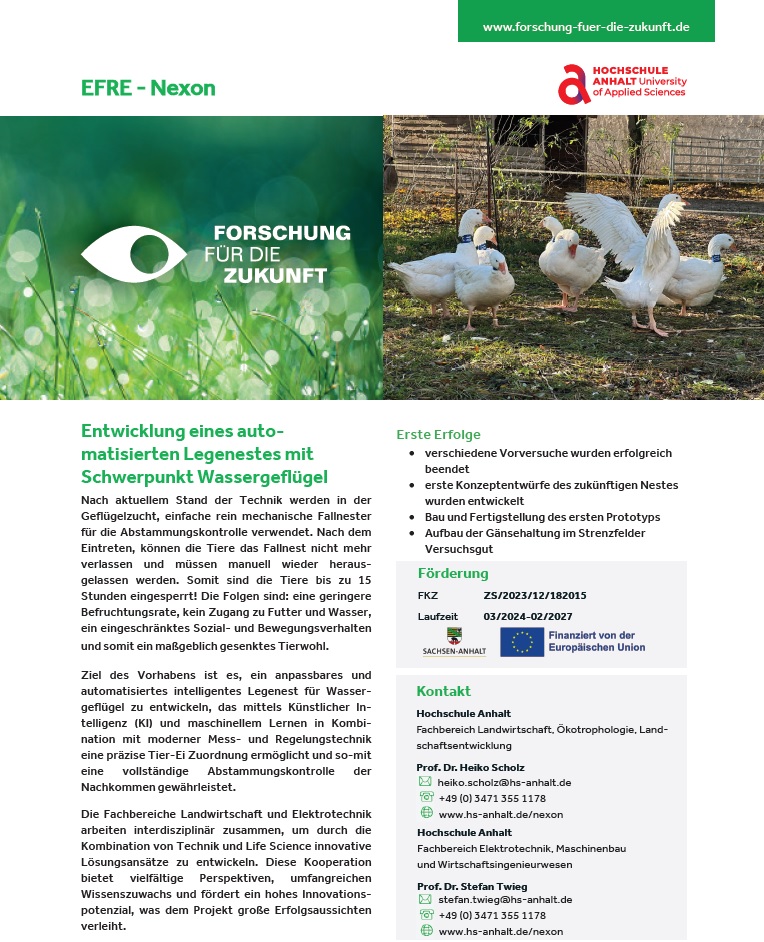 Flyer
