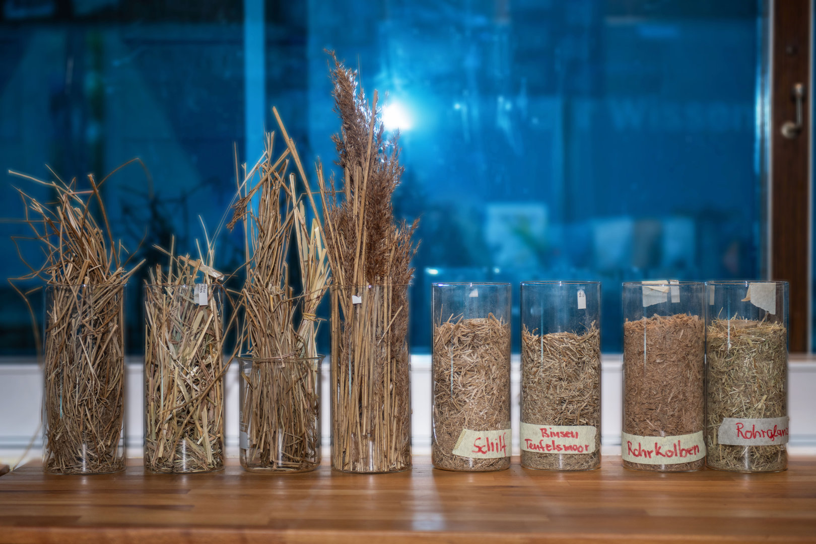 Vier Glasbehälter mit verschiedenen Getreide- oder Teesorten: von links nach rechts mit den Beschriftungen „Süß“, „Rosenkranz-Melisse“, „Rote Kohldolde“ und „Rohkohl“, jeweils mit getrockneten Kräutern oder Pflanzenteilen gefüllt. Daneben stehen drei Bündel getrockneter Pflanzenstängel.