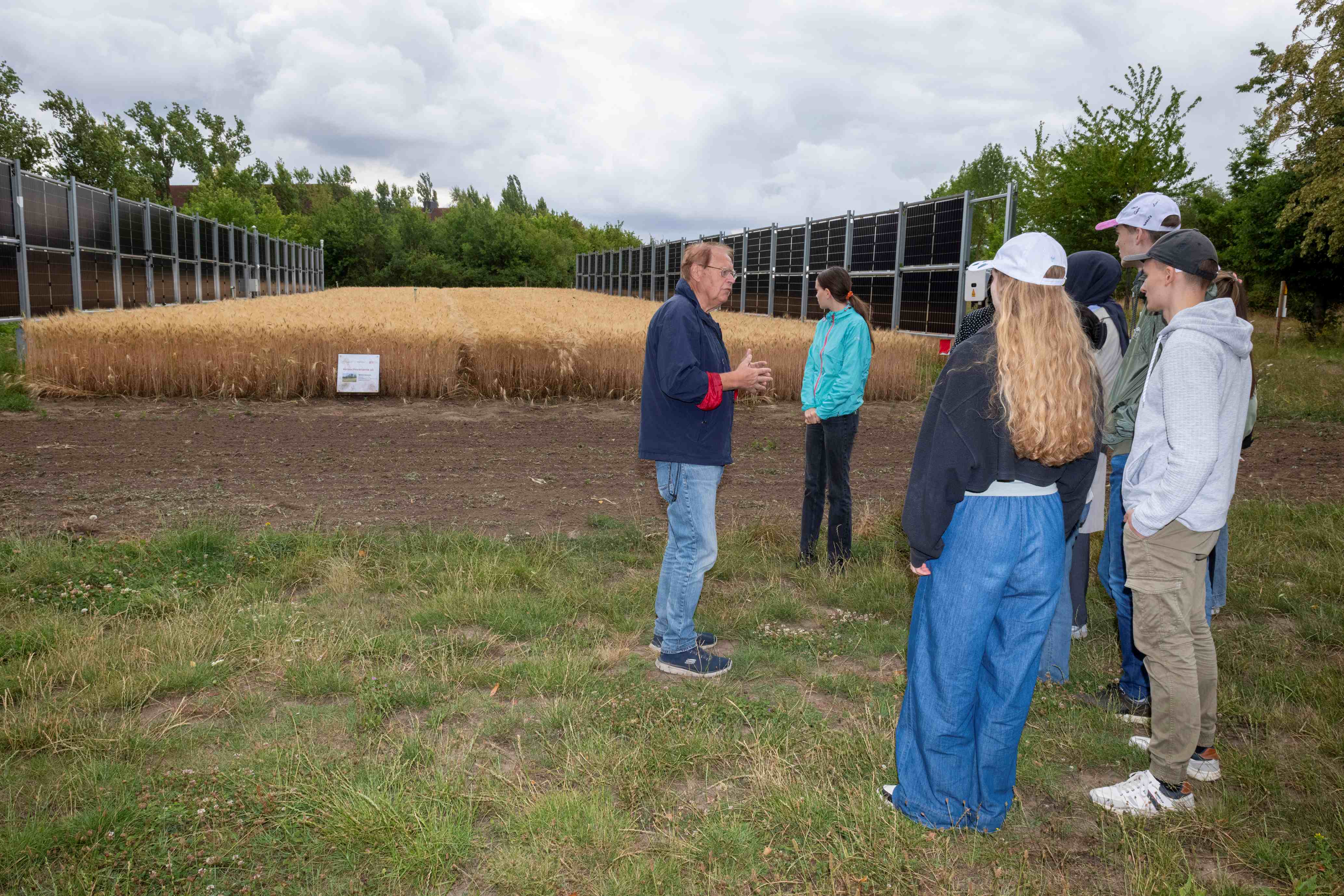 Eine Gruppe von fünf Personen steht auf einem Feld mit reifem Getreide, während eine Person mit einem Notizblock in der Hand etwas erklärt. Im Hintergrund sind Agri-Photovoltaik zu sehen. 