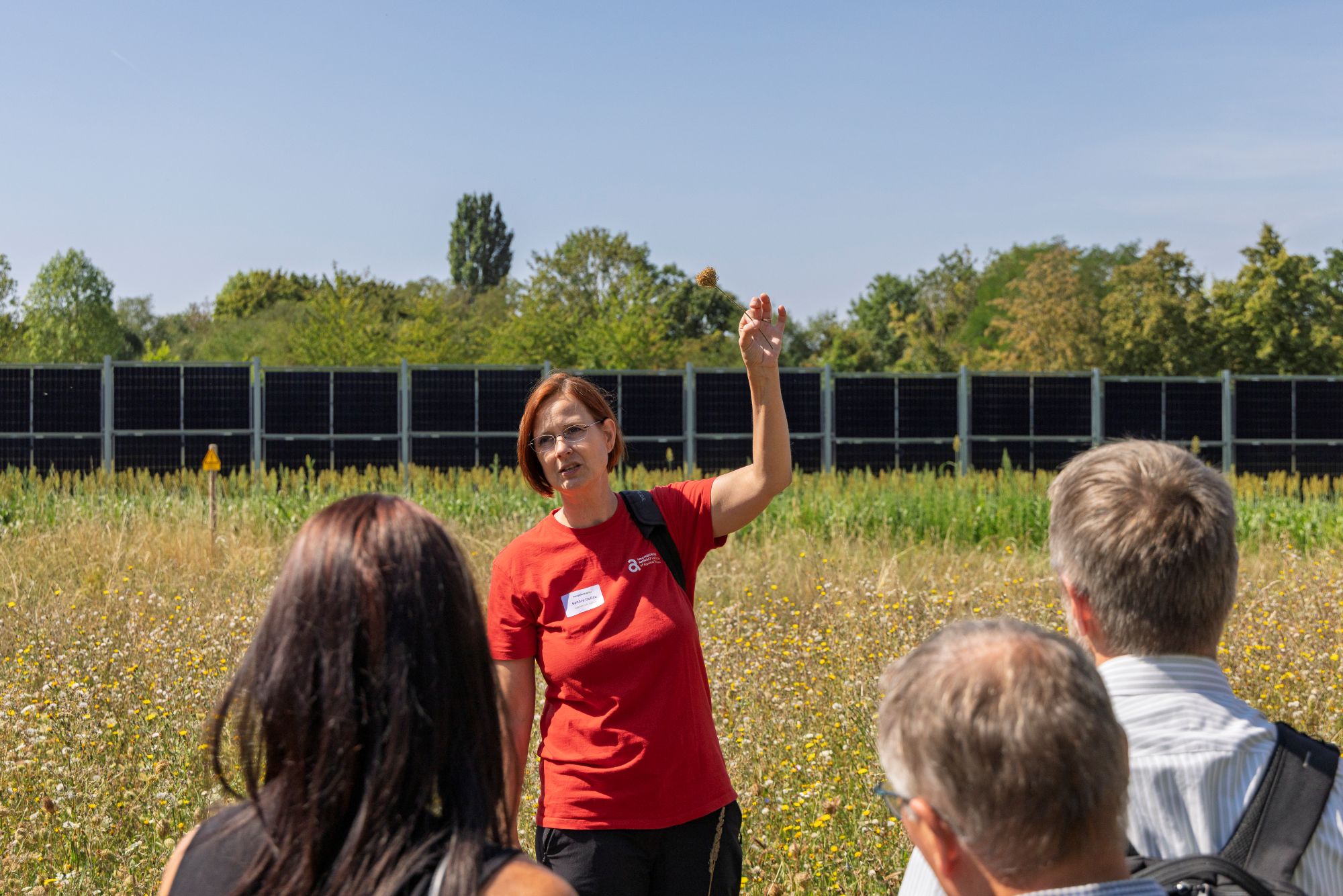 Eine Frau in rotem Shirt erklärt im Freien einer kleinen Gruppe etwas über eine blühende Wiese mit Agri-PV-Anlage im Hintergrund.