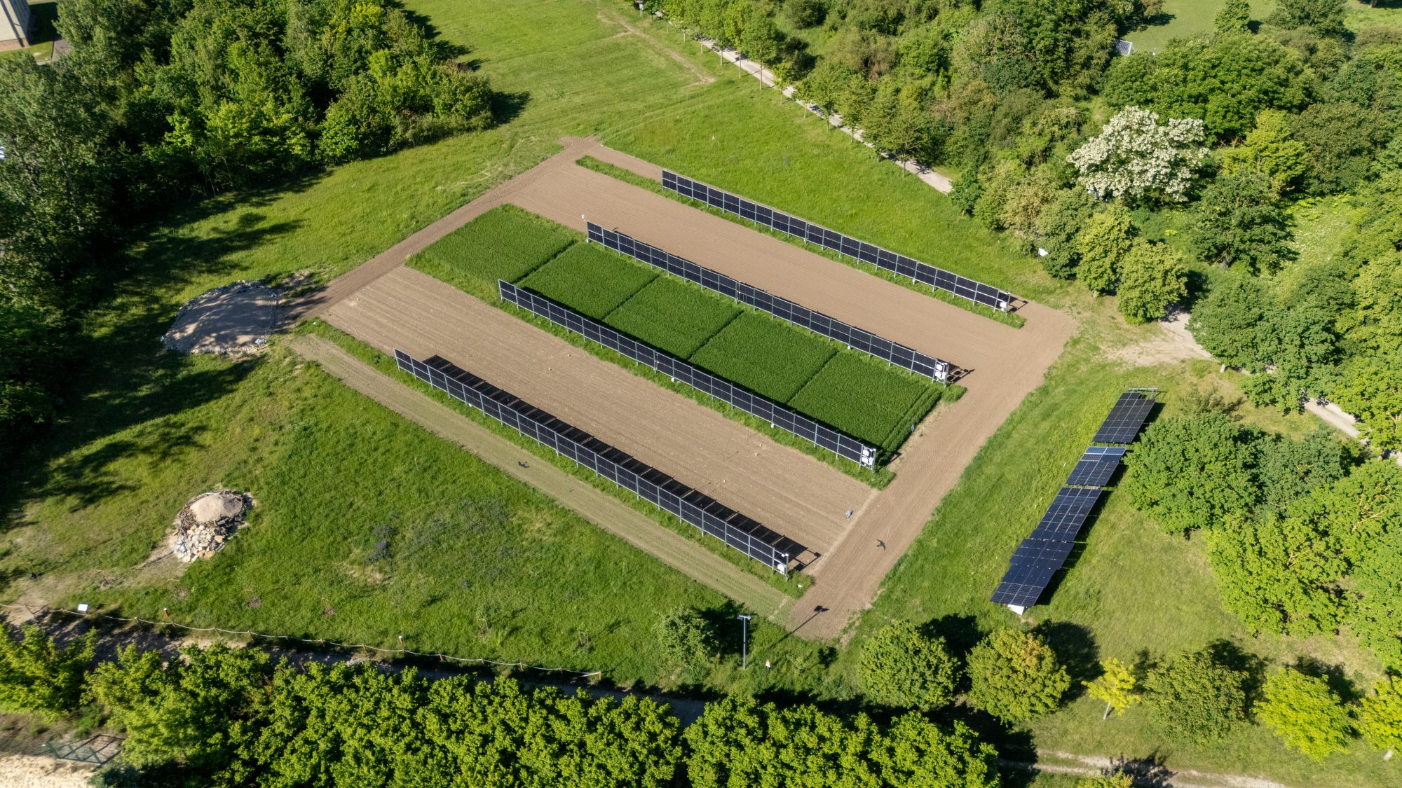 Luftbild einer AgriPV Anlage an der Hochschule Anhalt, die aussieht wie ein Fußballfeld mit zwei großen, rechteckigen Spielflächen aus Rasen, umgeben von einem schmalen, sandigen Bereich. Im Hintergrund dichte Gehölze.
