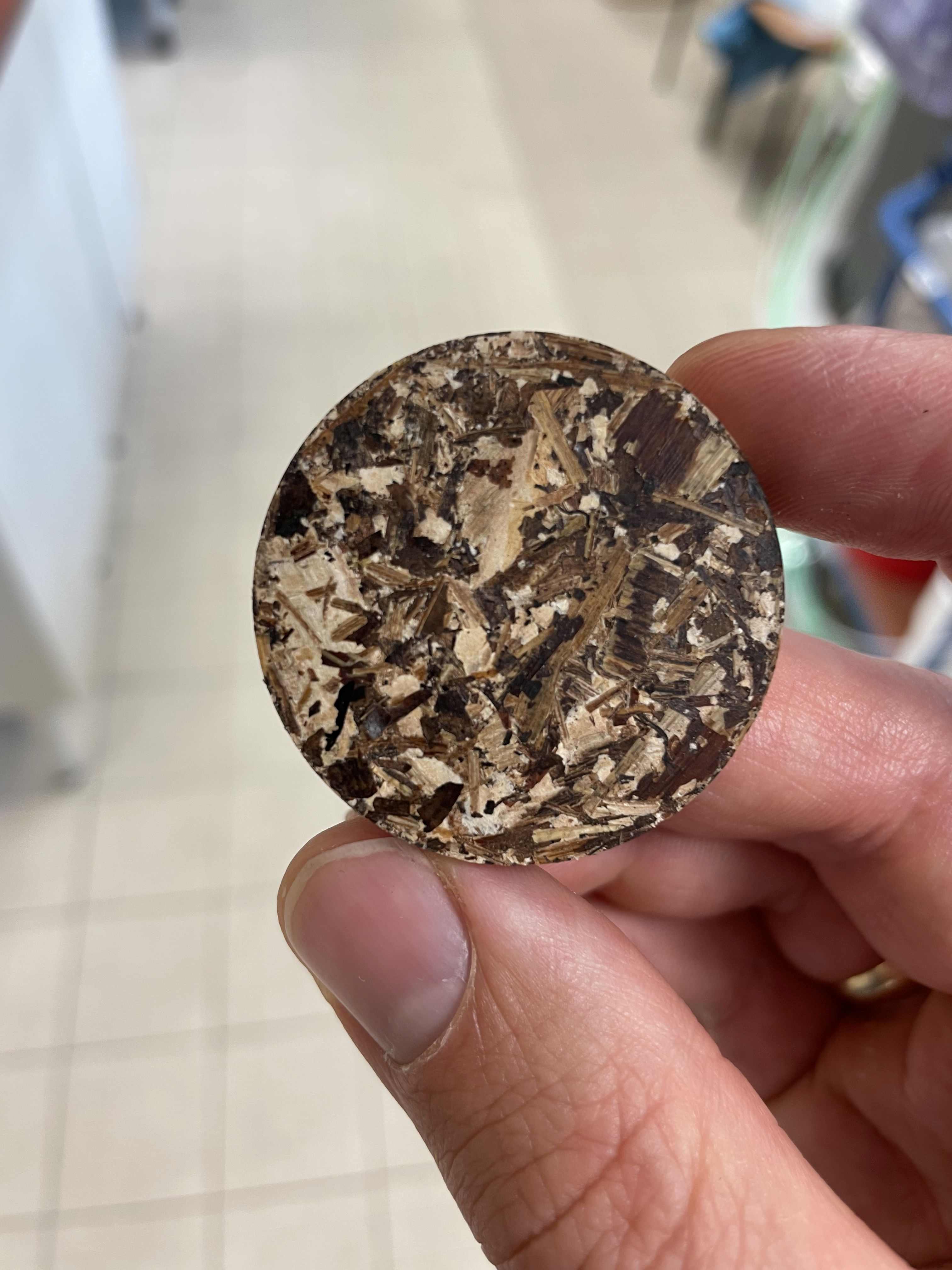 In der Hand gehaltene runde Scheibe aus dunklem, krümeligem Material, das wie ein verbackener Kuchen mit Nüssen oder Samen und etwas helleren Streifen aussieht.