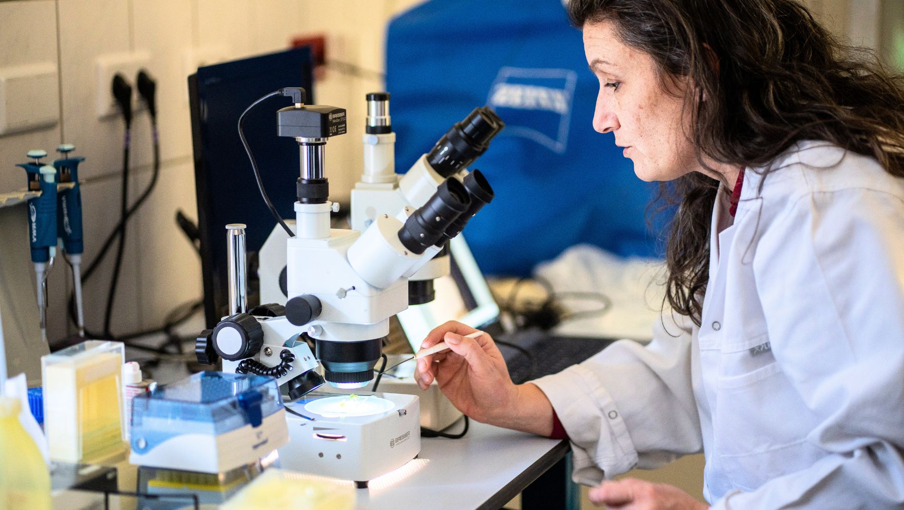 Frau im Labor an Mikroskop zeigt Prof. Dr. Claudia Grewe von der Hochschule Anhalt