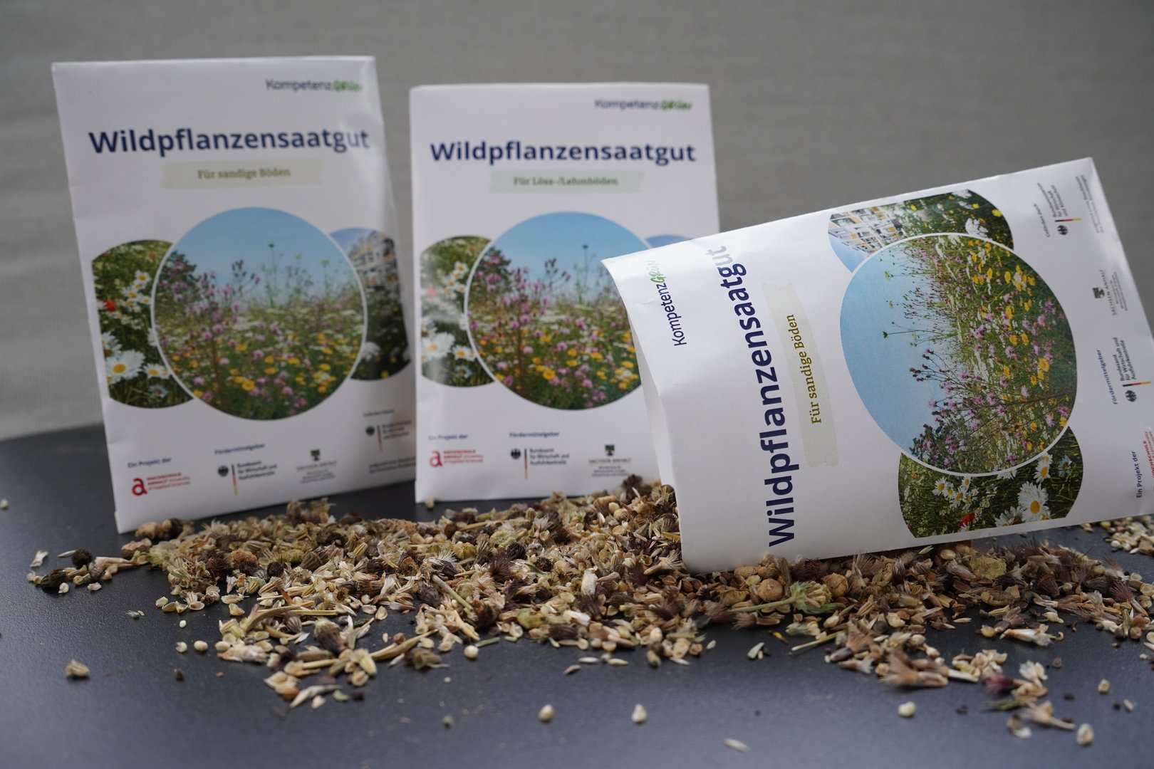 Drei Packungen mit Wildblumen-Saatgut für verschiedene Blumenarten, umgeben von ausgesäten Samen auf grauer Oberfläche.