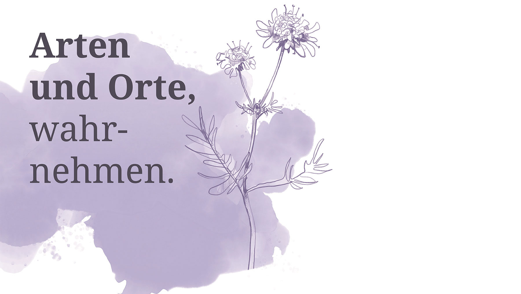 Illustrierte Blume mit zwei kleinen weißen Blütenköpfen und langem Stängel, daneben der Text: „Arten und Orte wahrnehmen.“