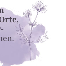 Illustrierte Blume mit zwei kleinen weißen Blütenköpfen und langem Stängel, daneben der Text: „Arten und Orte wahrnehmen.“
