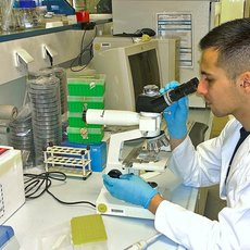 Studierender im Labor am Mikroskop untersucht Probe