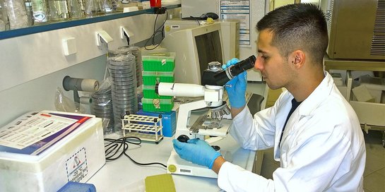 Studierender im Labor am Mikroskop untersucht Probe