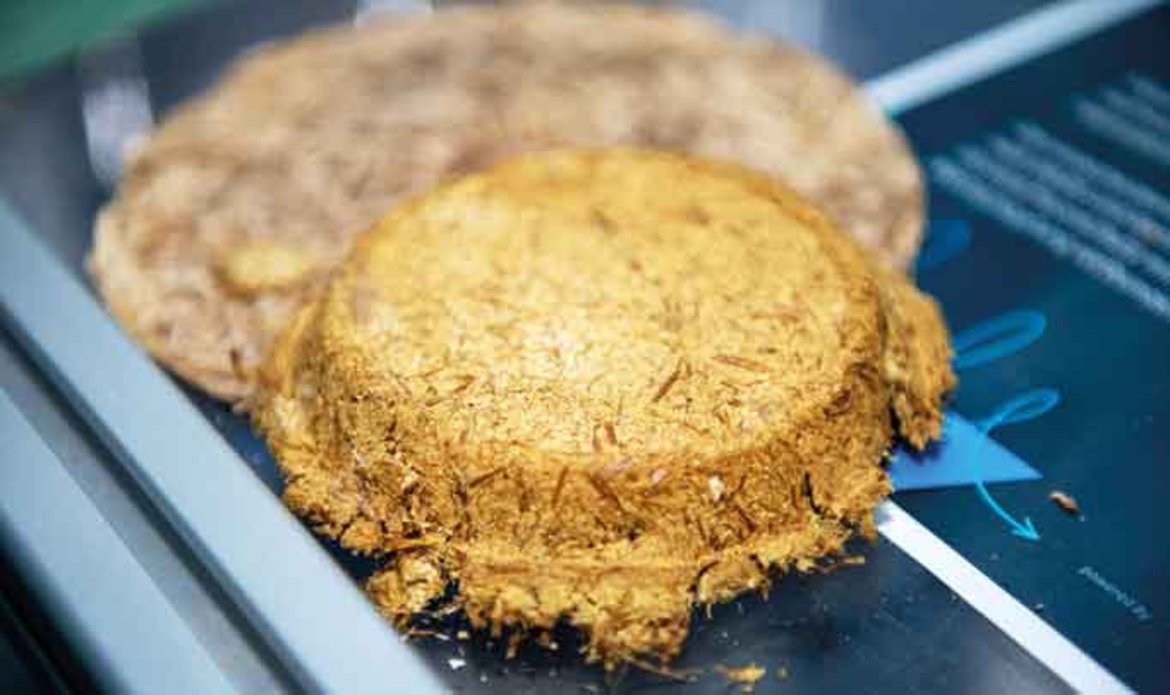 Zwei runde, knusprige Speisen auf einem Backblech, eine mit goldbrauner, körniger Oberfläche, die andere mit glatter, leicht gebräunter Kruste, daneben ein blauer Spatel.