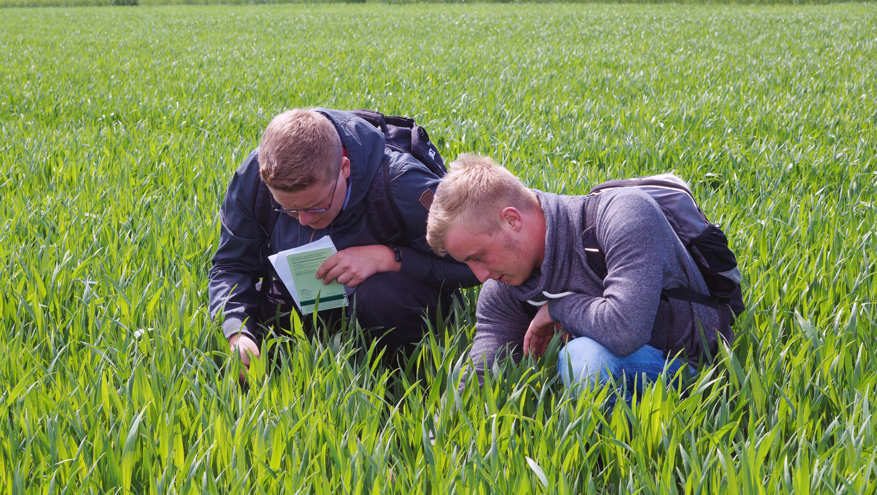 Studierende auf einem grünen Feld