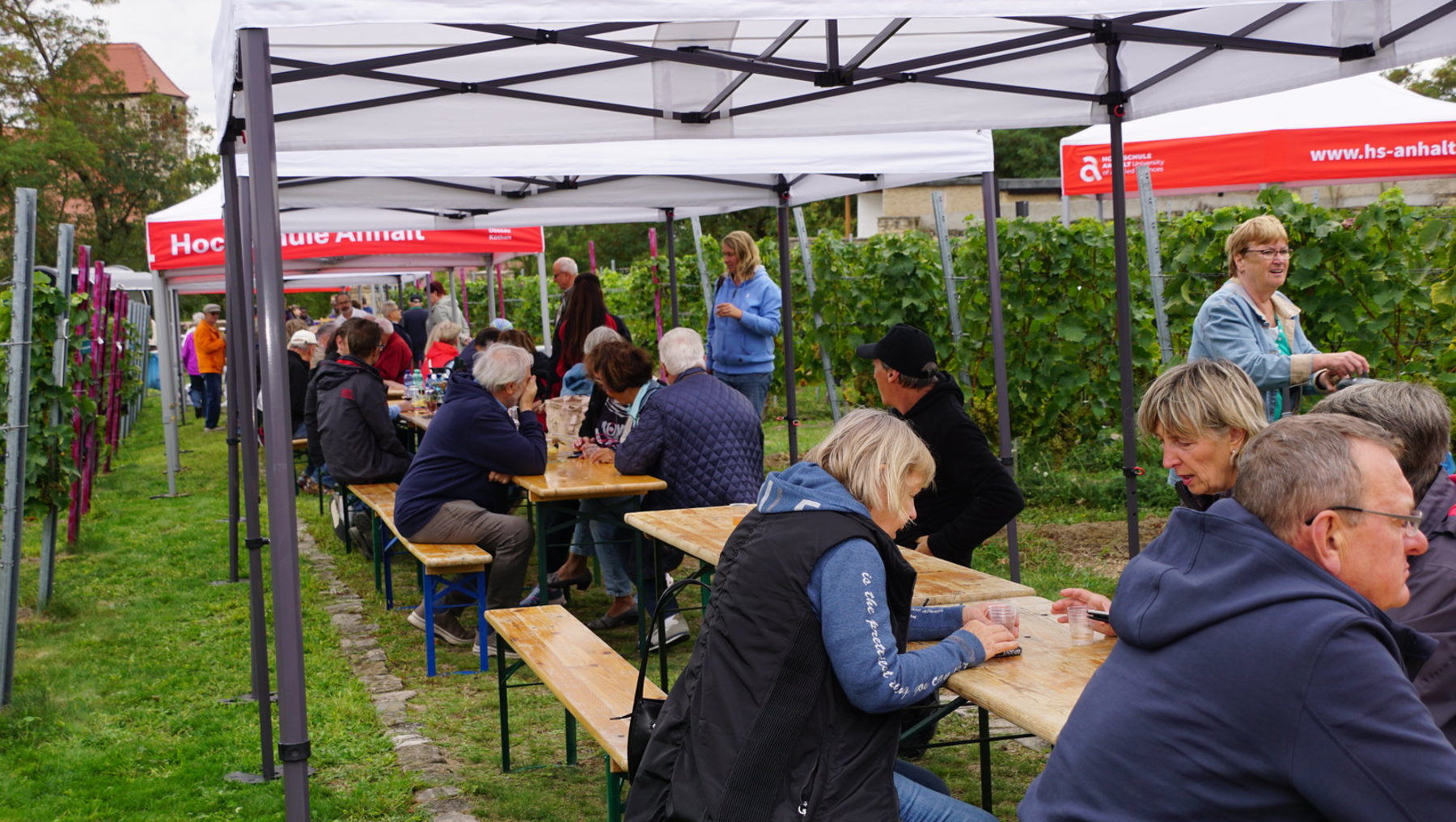 Draußen auf einem Markt oder Fest sitzen mehrere Menschen an langen Holzbänken unter einem großen Zelt. Sie unterhalten sich, essen oder schreiben etwas auf. Im Hintergrund stehen weitere Besucher und ein Infostand mit dem Schriftzug „Hochschule Anhal“.