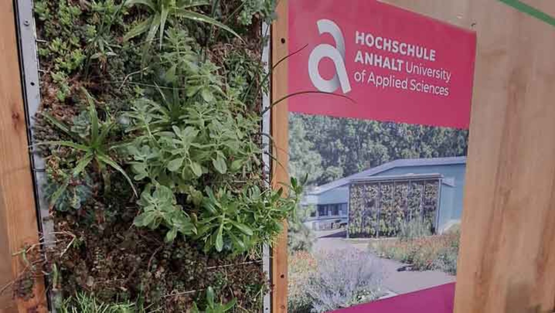 Hochschule Anhalt – University of Applied Sciences Logo neben einem Gewächshaus mit wuchernden Hanfpflanzen, die durch ein Gitter wachsen.