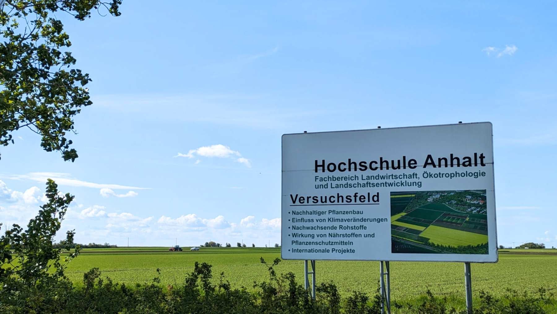 Symbolbild Big Data und Biodiversität zeigt grün bewachsenes Versuchsfeld der Hochschule Anhalt