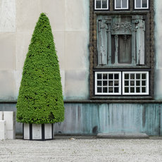 Jugendstil in Brüssel