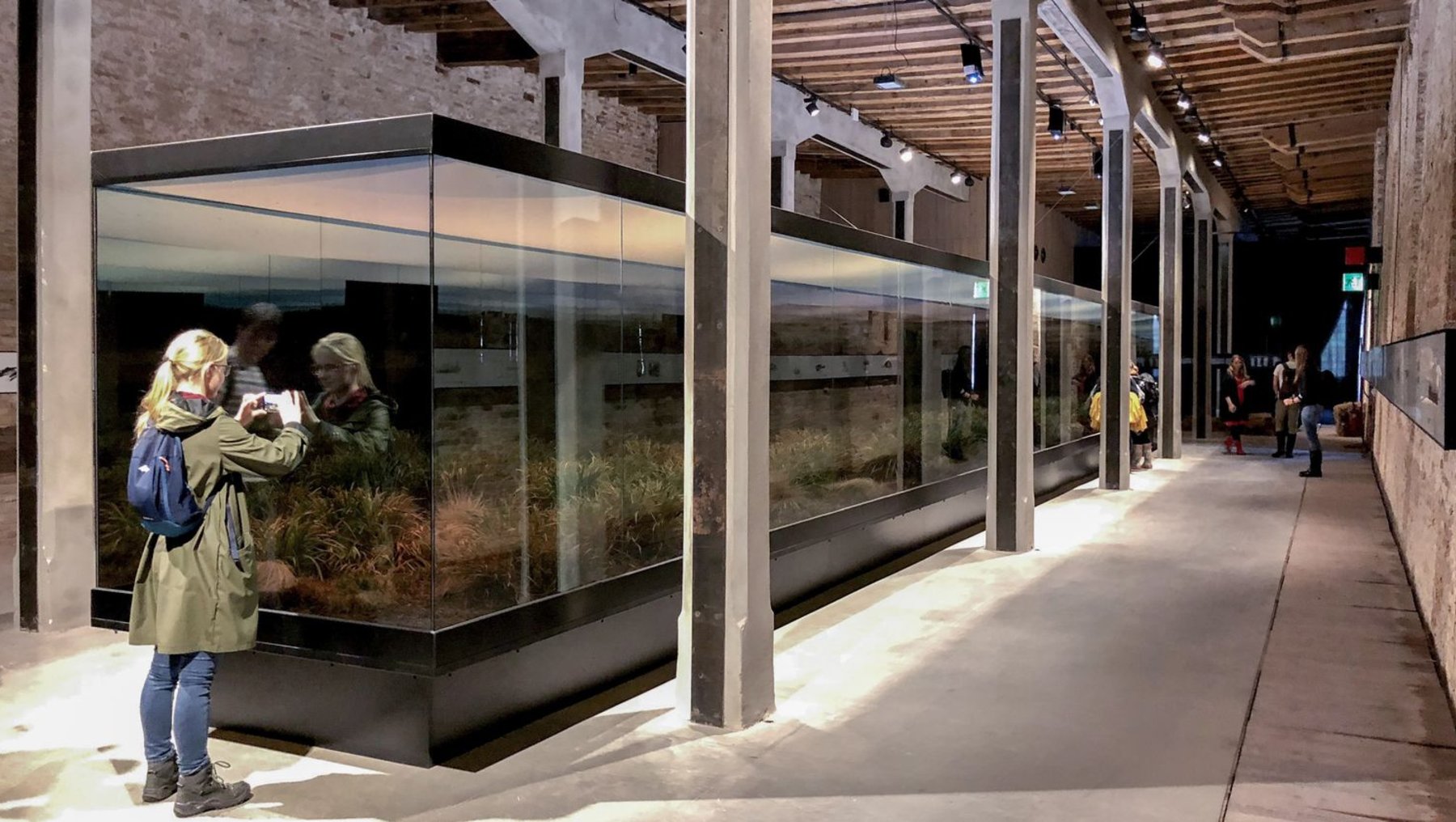 der argentinische Beitrag - ein Terrarium, das mittels optischer Illusion die Weiten einer Steppenlandschaft zitiert