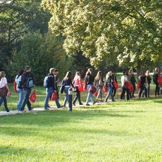 A large group of people walking in a line through a grassy park area with trees on a sunny day. The individuals are dressed in casual attire, and some are carrying bags. The scene appears to be outdoors with a clear sky and lush greenery.