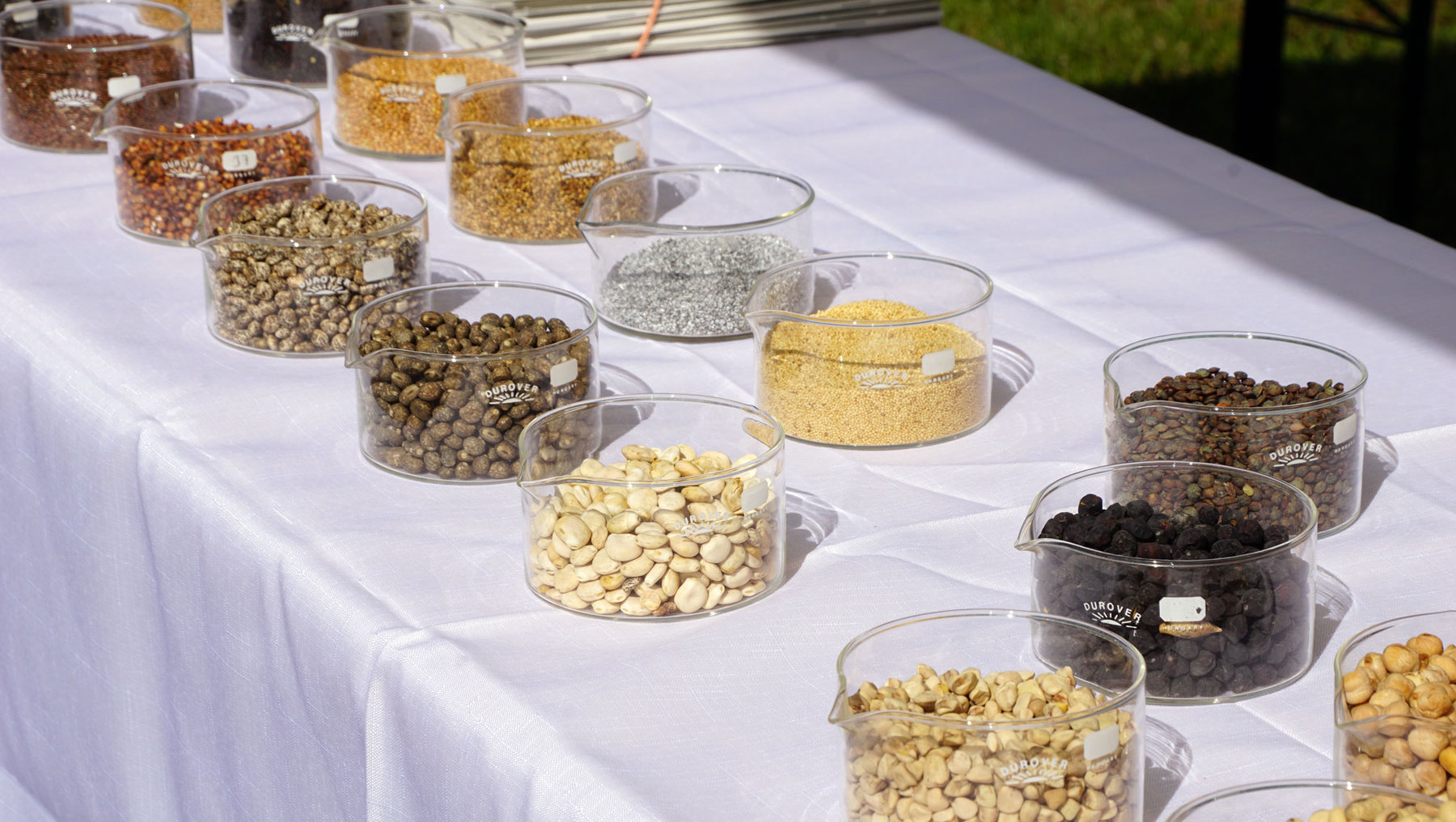 Ausstellung verschiedener Gläser mit Trockenfrüchten und Samen: Nüsse wie Cashews, Mandeln, Erdnüsse, getrocknete Bohnen, Körner wie Hirse und Sesam sowie dunkle und helle Samen.