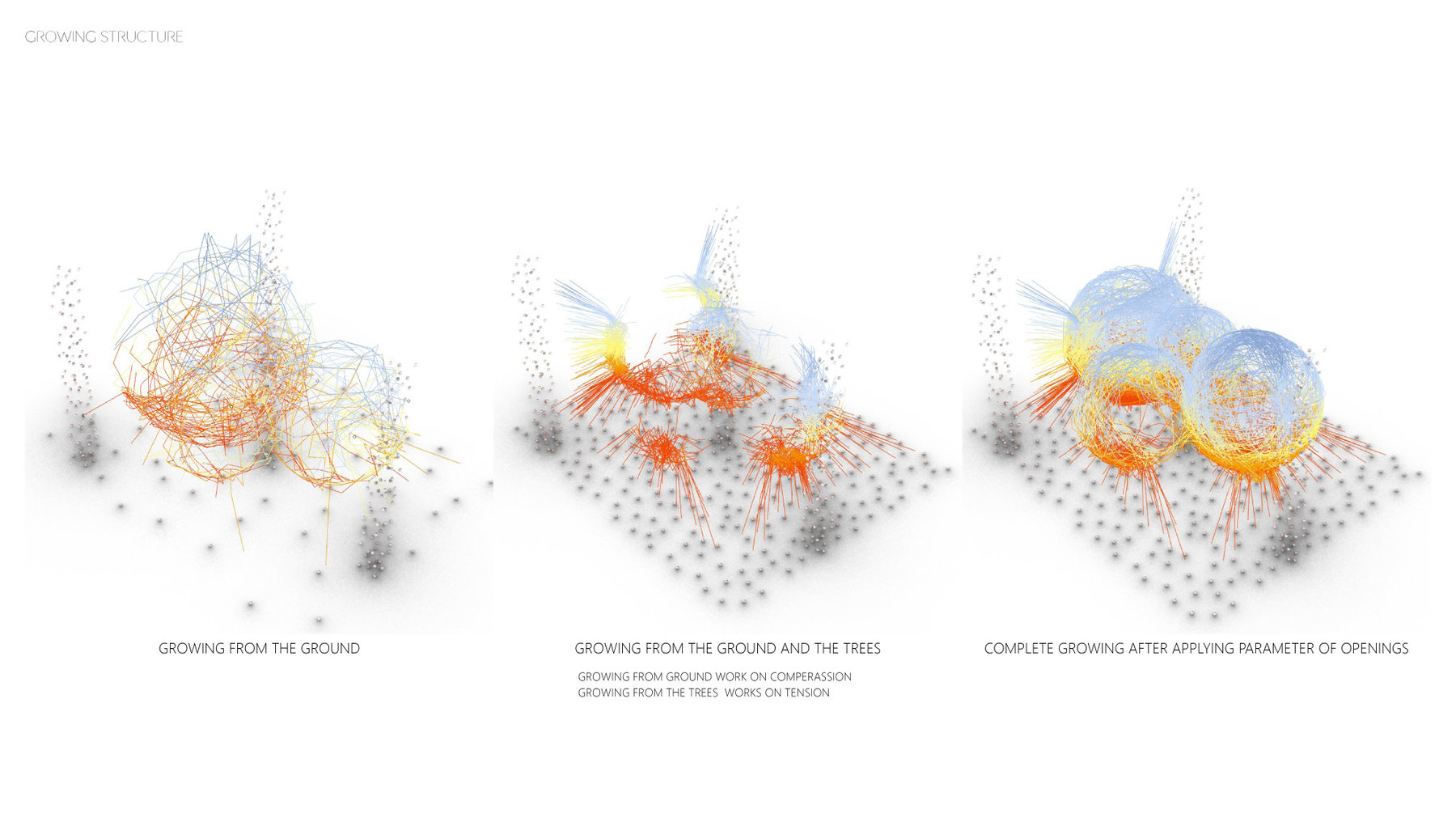 Biotope Generative System - Strategy for integrating Contemporary Housing Community with Nature in Florida