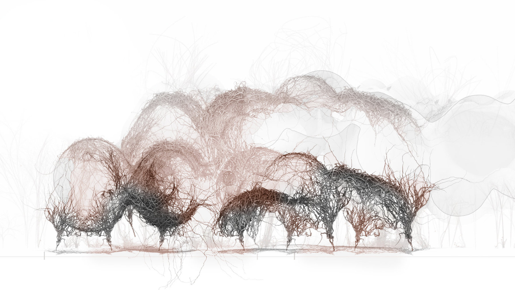 Biotope Generative System - Strategy for integrating Contemporary Housing Community with Nature in Florida