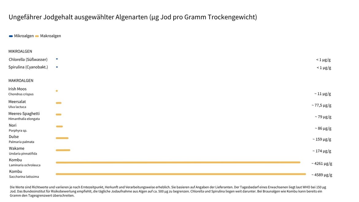 Tabelle mit Jodgehalten verschiedener Algenarten in Mikrogramm pro Gramm Trockengewicht: Mikroalgen wie Chlorella und Spirulina enthalten unter 1 µg/g, während Makroalgen stark variieren – von etwa 11 µg/g bei Irish-Moos bis zu 6389 µg/g bei Kombu (Seetang).
