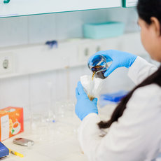 Eine Person in weißem Laborkittel und blauen Handschuhen überführt eine dunkle Flüssigkeit aus einem Glasbehälter in ein Reagenzglas, das in einem Halter steckt. Im Hintergrund sind Laborgeräte und Chemikalienbehälter zu sehen.
