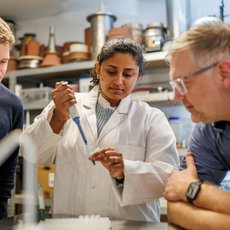 Drei Personen arbeiten in einem Labor. Eine Frau in einem weißen Laborkittel hält eine Pipette und wird von zwei Männern beobachtet, die sich auf die Arbeit konzentrieren. Im Hintergrund sind Laborgeräte und Chemikalien zu sehen.