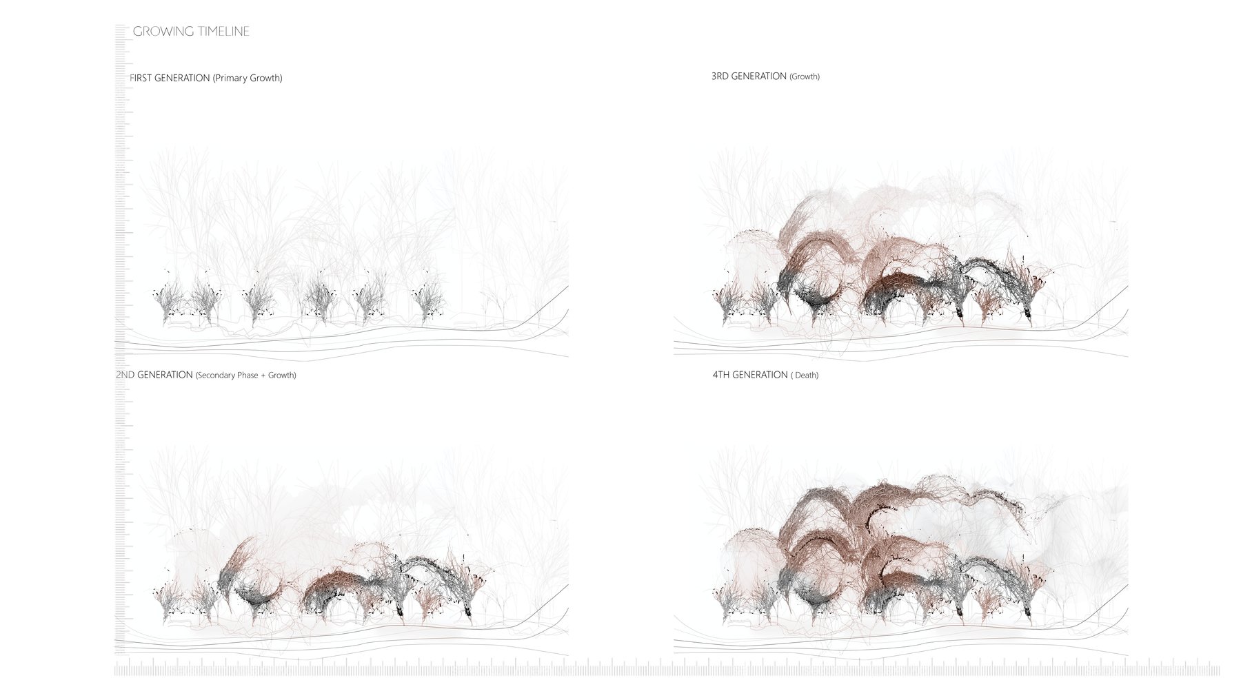 Biotope Generative System - Strategy for integrating Contemporary Housing Community with Nature in Florida