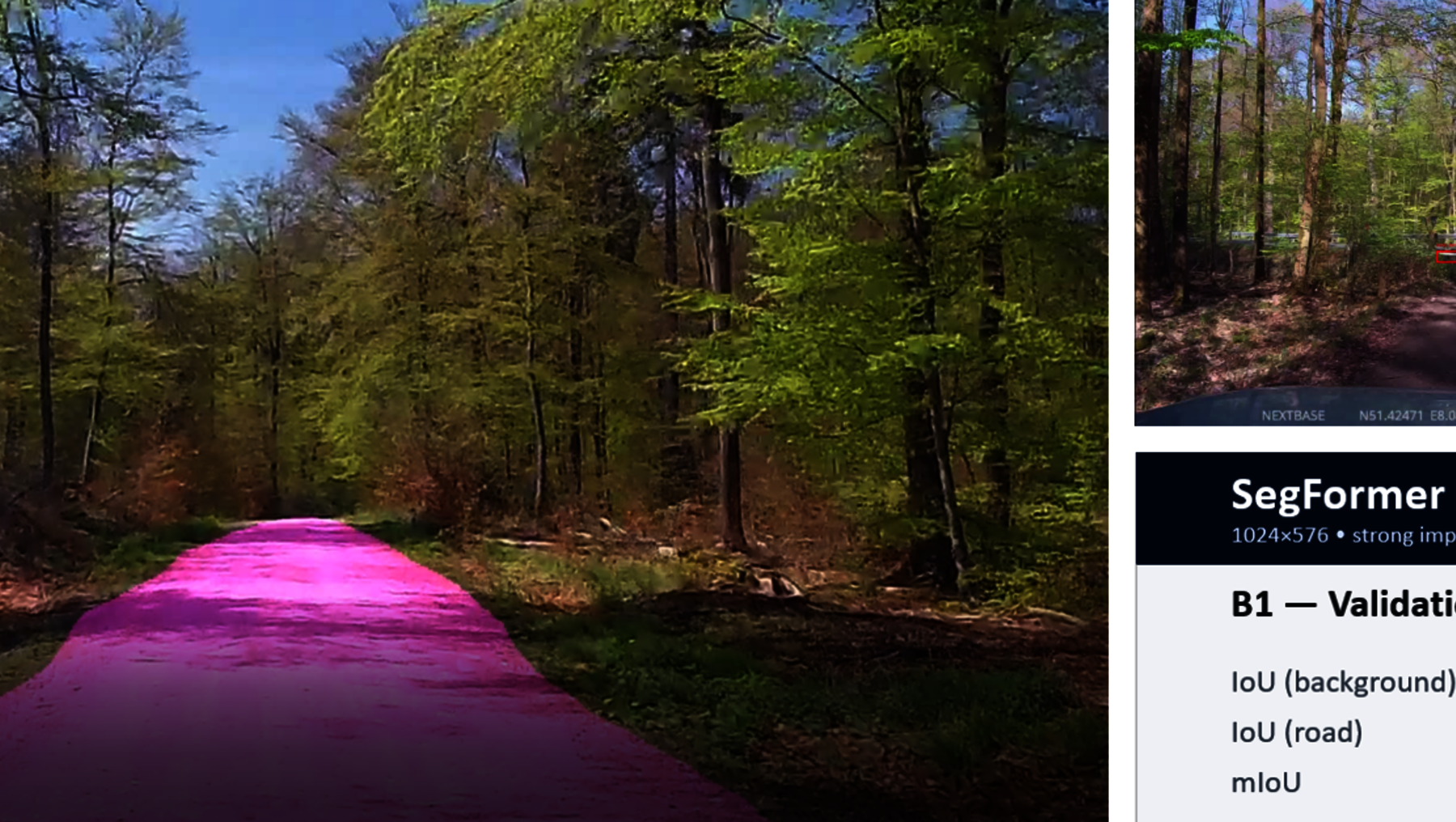 Ein Waldweg mit einem rosa markierten Pfad, der sich durch ein dichtes, grünes Waldgebiet schlängelt. Im Hintergrund sind Bäume und Sonnenlicht zu sehen.