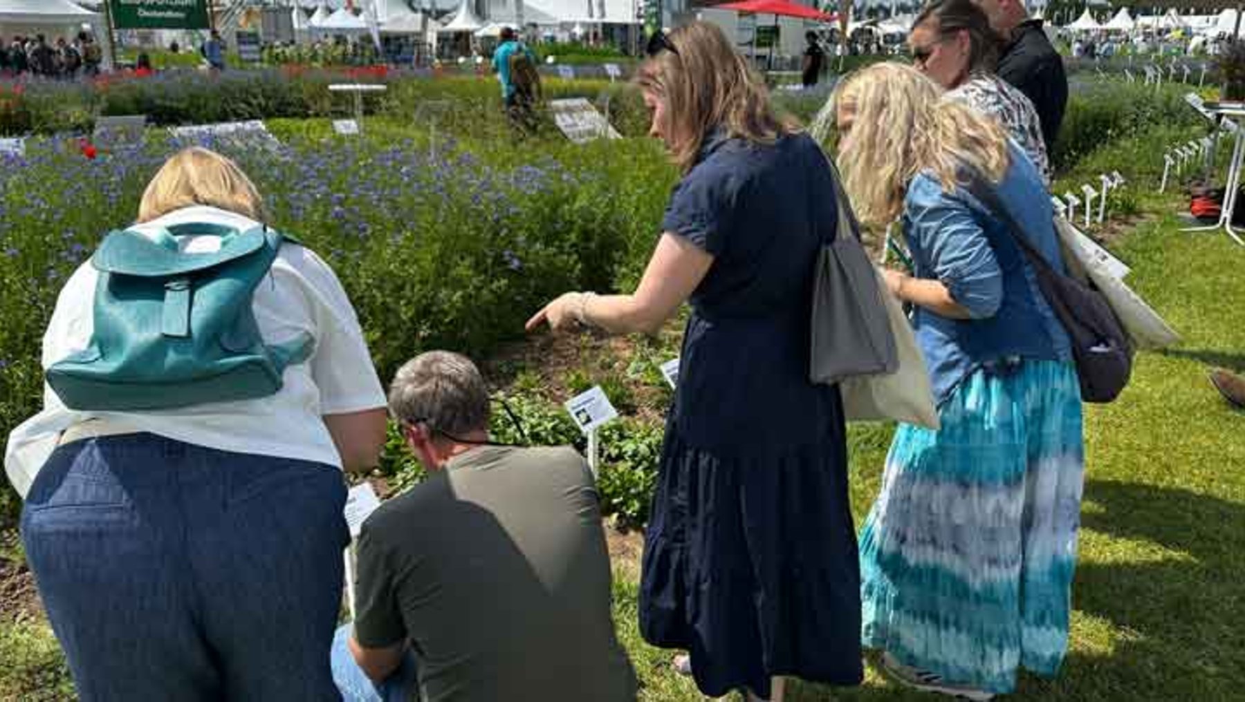 Drei Personen beobachten und besprechen gemeinsam eine blühende Pflanze in einem Garten mit bunten Blumenbeeten. Eine Frau zeigt auf die Pflanze, während zwei weitere Personen aufmerksam zuhören.