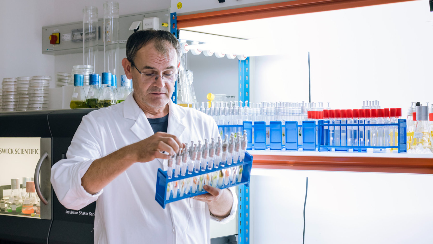A scientist in a laboratory coat is carefully holding and examining multiple small test tubes inside colorful blue test tube racks. The lab setting suggests scientific research or testing is taking place.