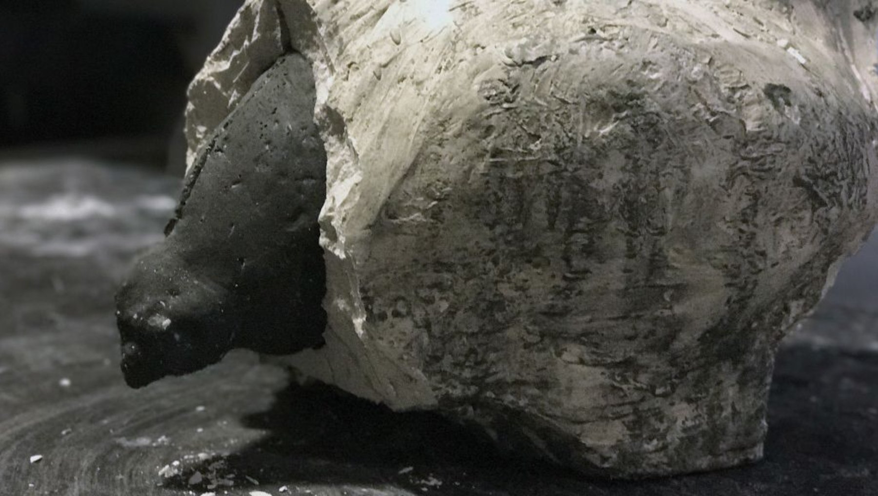 Ausschalung der Betonplastik 