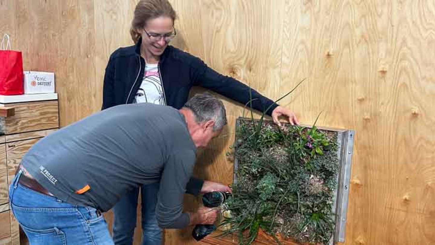 Zwei Personen arbeiten gemeinsam an einer vertikalen Begrünung. Eine Person befestigt mit einer Bohrmaschine Pflanzen in einem Metallrahmen, während die andere assistiert. Die Begrünung besteht aus Moos und kleinen Pflanzen.