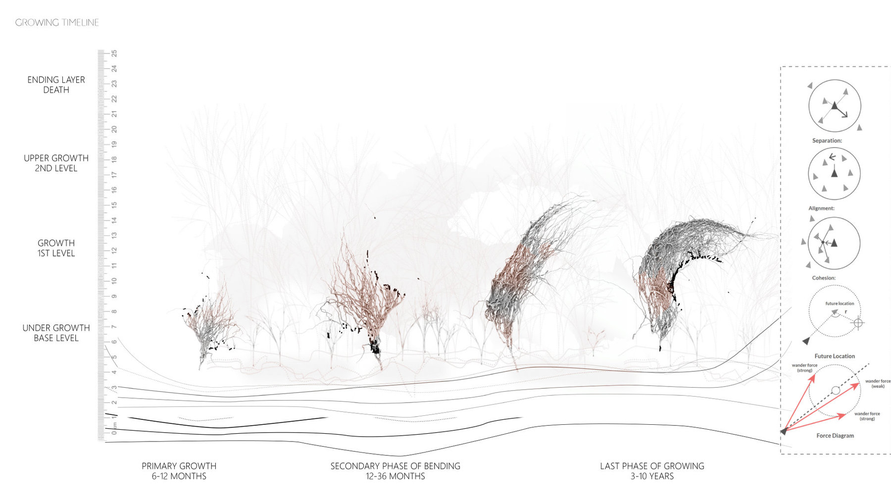 Biotope Generative System - Strategy for integrating Contemporary Housing Community with Nature in Florida
