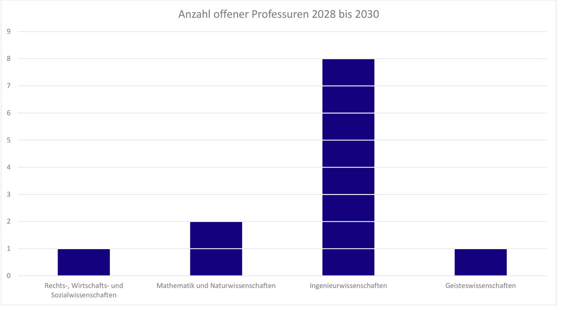 Bar chart showing the number of open professorships from 2028 to 2030 across four fields: Law, Economics, and Social Sciences with 1 opening; Mathematics and Natural Sciences with 2 openings; Engineering Sciences with 8 openings; and Humanities with 1 opening.