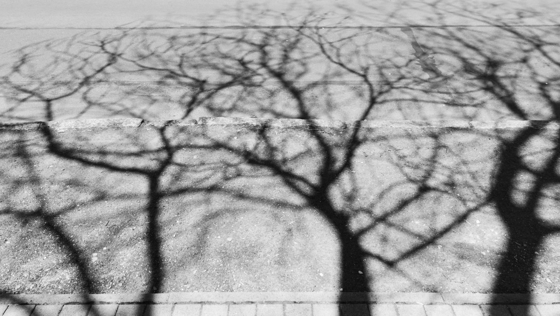 Shen Deyong "Schatten"
