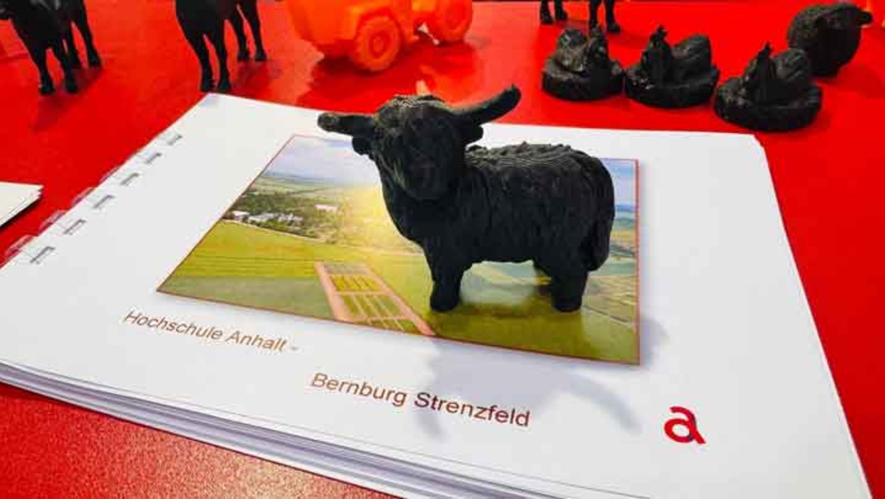 Miniatur-Skulptur eines schwarzen Stiers auf einer Broschüre der Hochschule Anhalt, Standort Bernburg Strenzfeld, vor grüner Landschaft mit Gebäuden im Hintergrund.