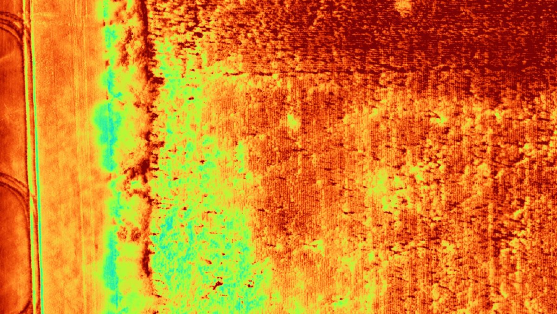 Thermografische Aufnahme eines Feldes mit deutlichen Temperaturunterschieden. Links ein vertikaler, kühler Bereich in bläulich-grünen Tönen, rechts ein wärmerer, braun-orange gefärbter Abschnitt mit unregelmäßigen Strukturen.