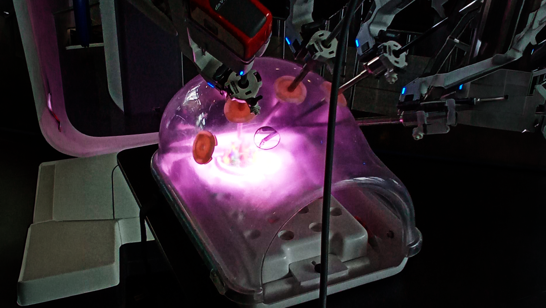 Ein medizinisches Gerät mit hellviolettem Licht führt eine Behandlung an zwei kleinen, rötlichen Gewebeproben oder Organen durch, während eine Kamera oder ein Sensor die Prozedur überwacht.