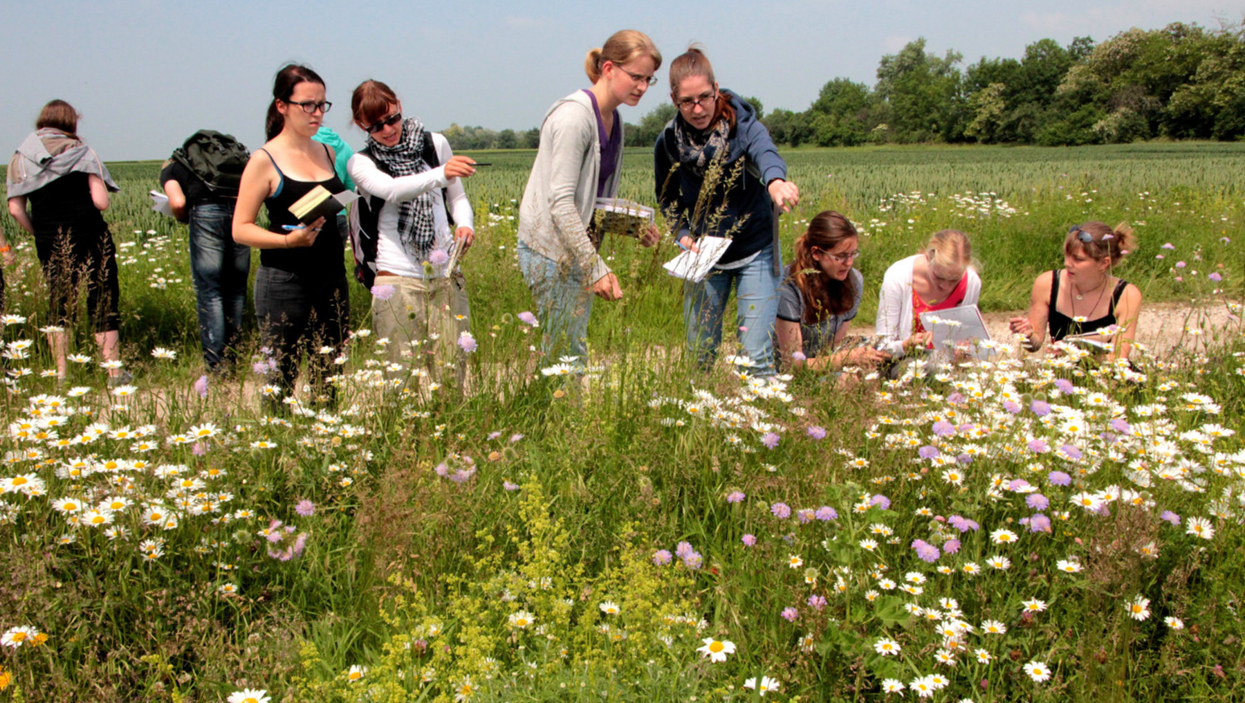 A group of people is gathered outdoors in a flowering meadow. Some are leaning or sitting in the grasses, observing and noting down details with notebooks and pens, while others stand and discuss alongside them, likely participating in an educational or nature study activity.