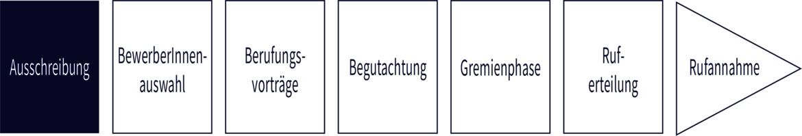 Das Diagramm beschreibt den Bewerbungsprozess in sieben Schritten: Ausschreibung, Bewerberinnen-auswahl, Berufungsvorträge, Begutachtung, Gremienphase, Entscheidung und Rufannahme. Simulation einer typischen Berufungsprozedur in klarer Abfolge.