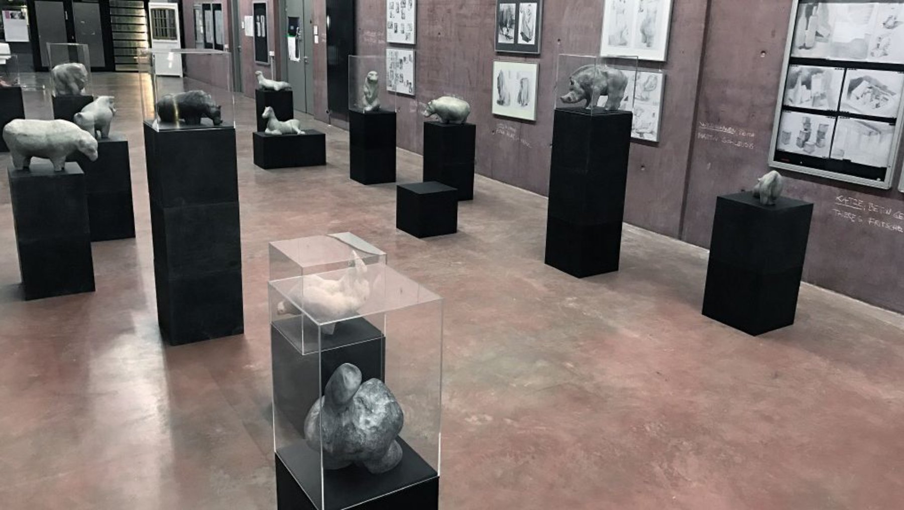Ausstellung der Arbeiten