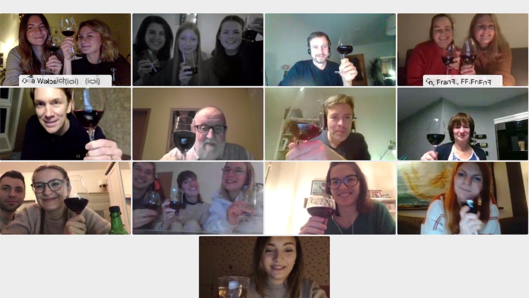 Screenshot eines Zoom-Meetings 