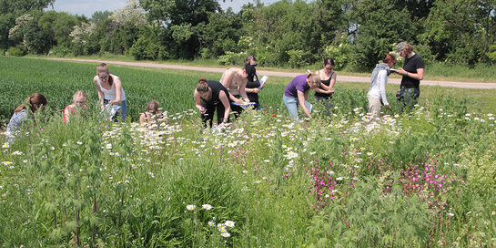 Studierende auf einer Blumenwiese